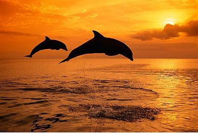 韩国二次元新作《守护女神》公布 胜利女神姐妹版？