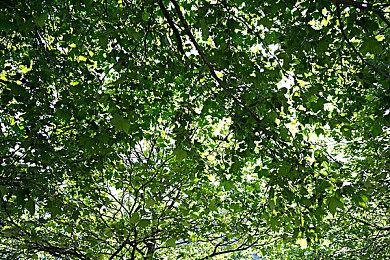 经典FPS《血祭2》AI高清材质包全面提升画质效果